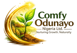 Comfy Odunayo Nigeria Limited logo